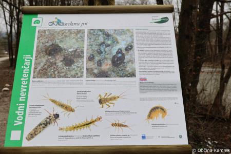 Z zasaditvijo dreves smo uradno odprli kolesarsko povezavo Kamnik–Godič (85)